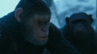 Скриншот к фильму Планета обезьян: Война mp4 (2017)