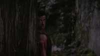 Скриншот к фильму Рэмбо: Первая кровь mp4 (1982)