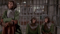 Скриншот к фильму Бегство с планеты обезьян mp4 1971