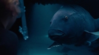 Скриншот к фильму Друг в океане mp4 (2022)